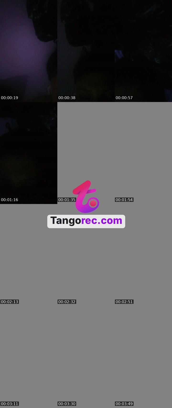 @dancing-fox-81516 Tango live from 2026-09-01