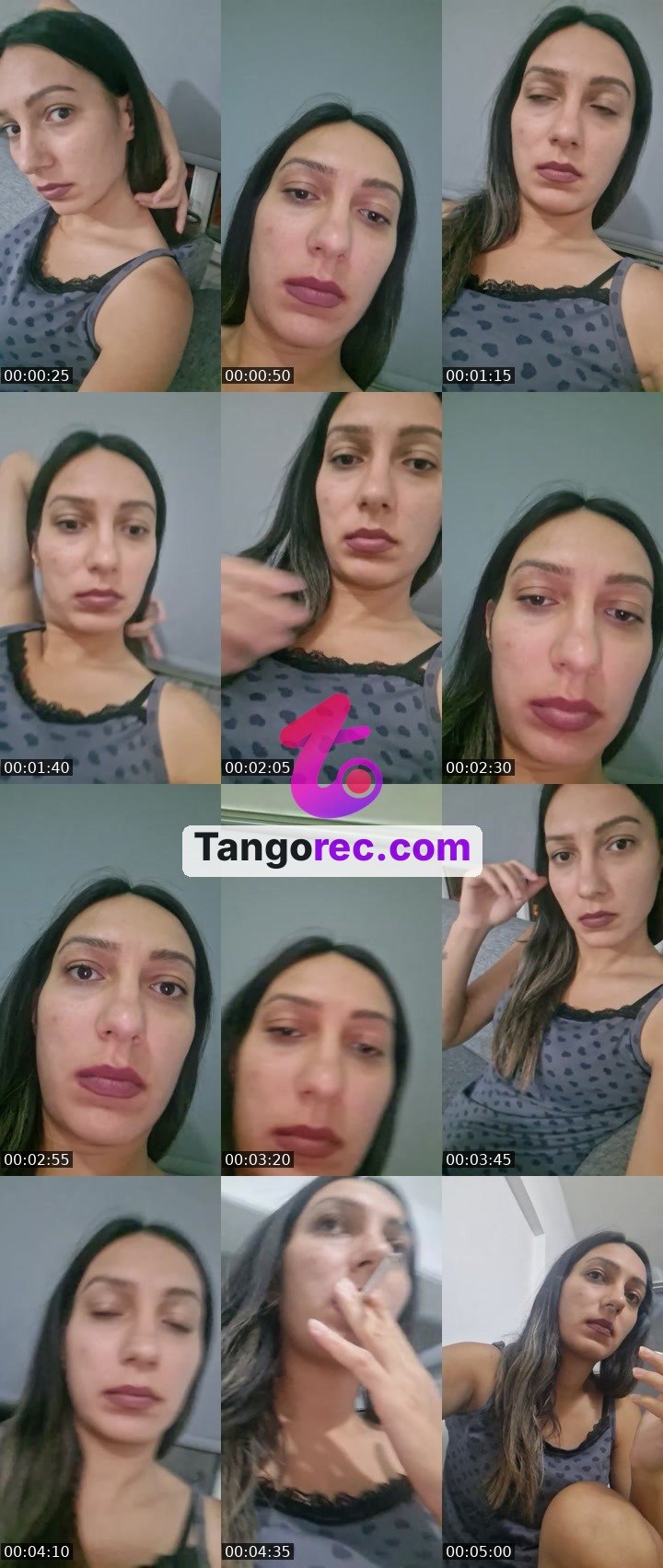 @boxingbear-248422 Tango live from 2026-09-01