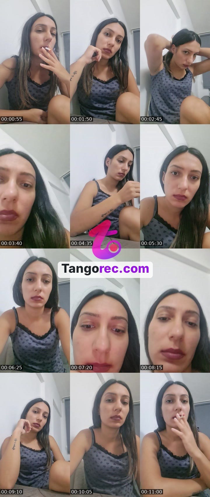 @boxingbear-248422 Tango live from 2026-09-01