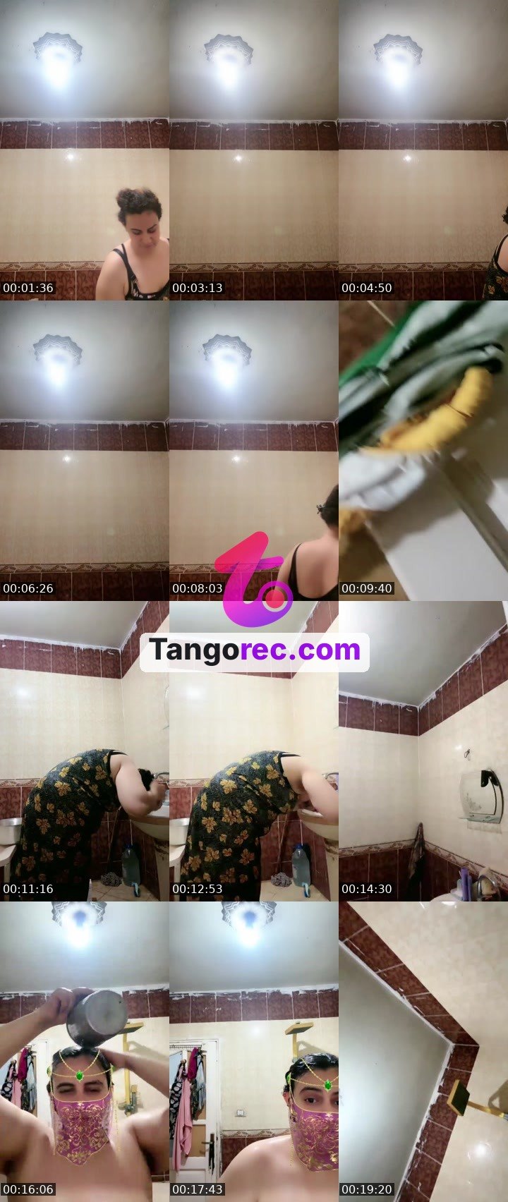 @rapidcat-100152 Tango live from 2026-09-01