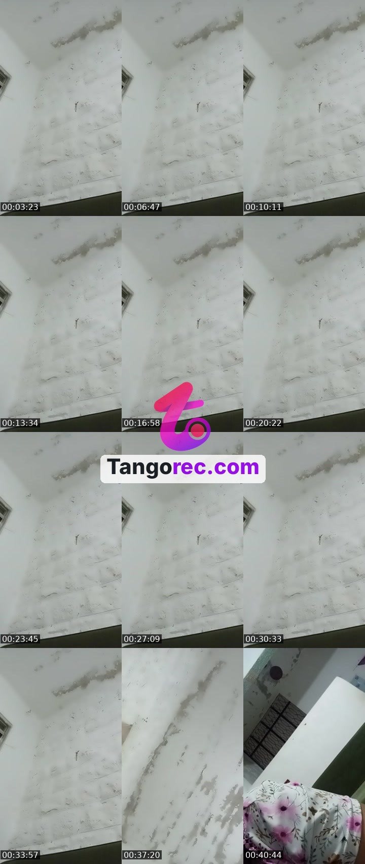 @chmookbadaea Tango live from 2026-09-02