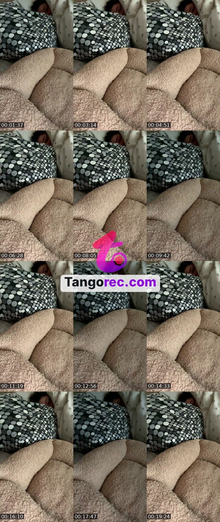 @fly-cobra-246061 Tango live from 2026-09-02