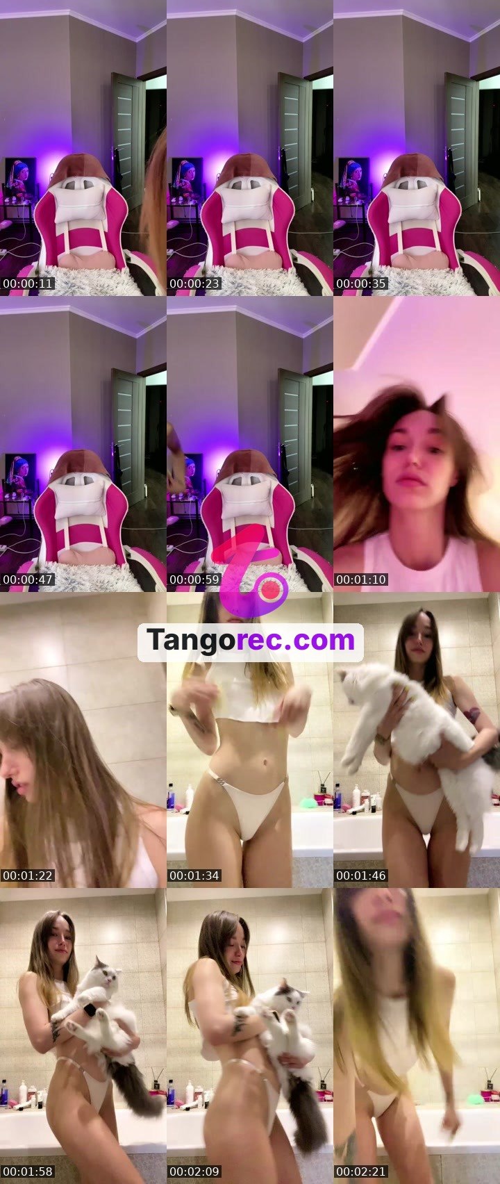 @hologrammaa Tango live from 2026-09-02