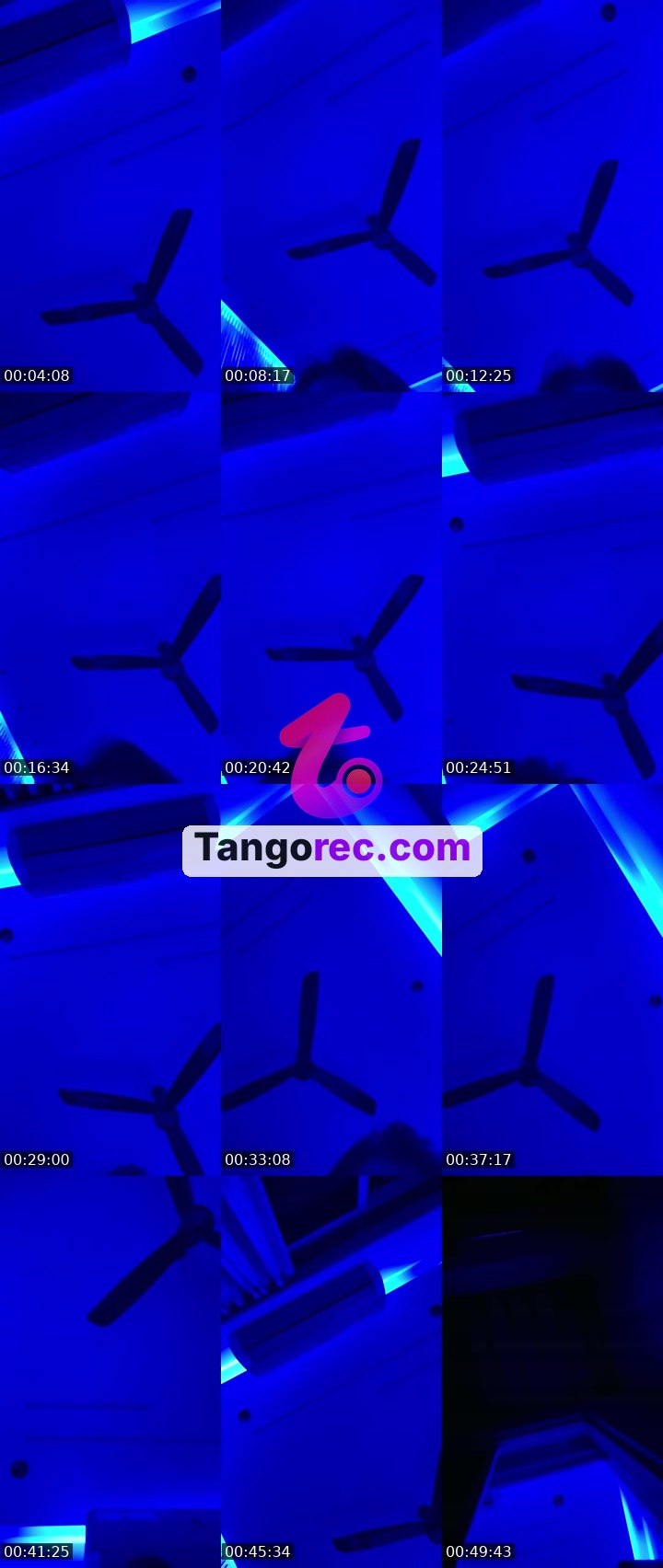@hiralpatel-32163 Tango live from 2026-09-02