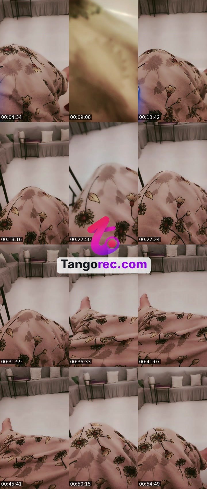 @t_v Tango live from 2026-09-02