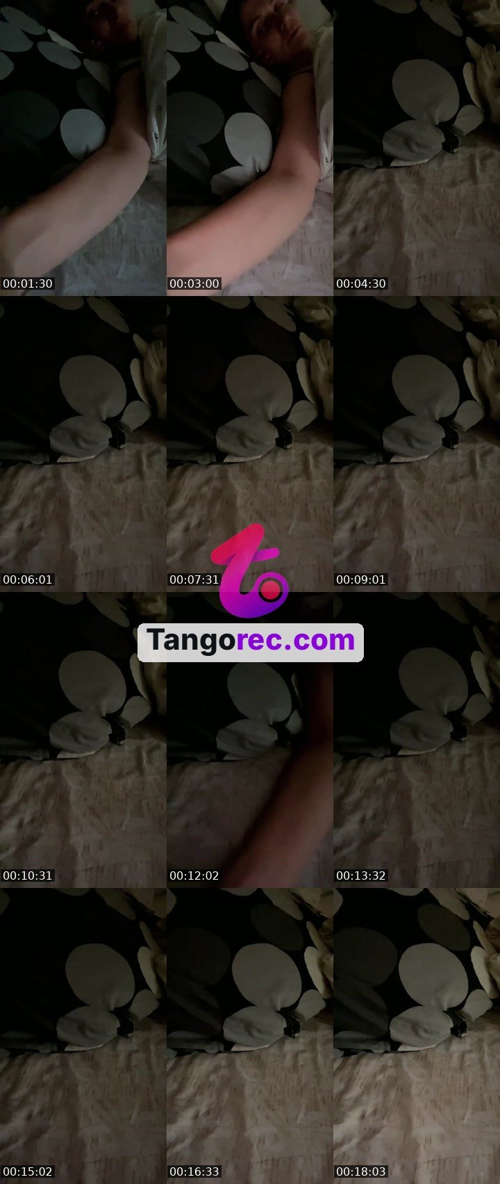 @fly-cobra-246061 Tango live from 2026-09-03