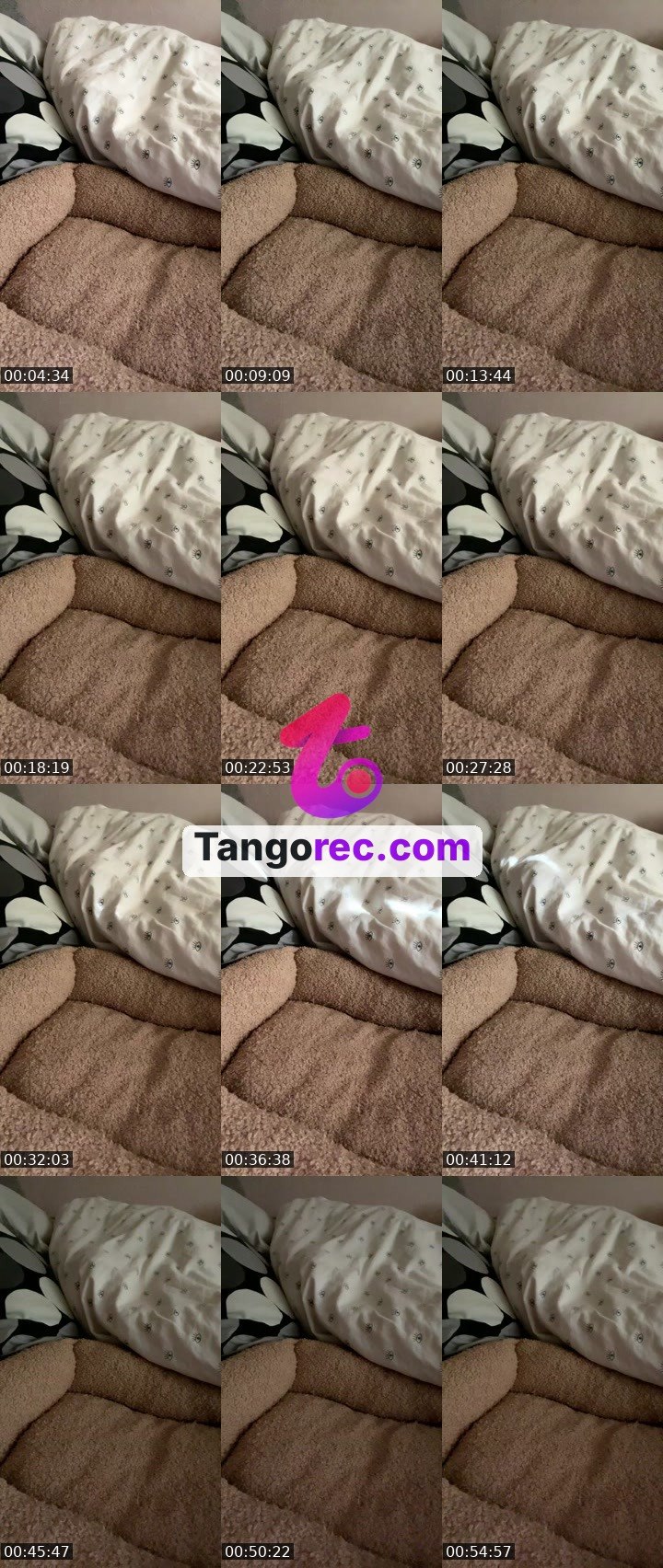 @fly-cobra-246061 Tango live from 2026-09-03