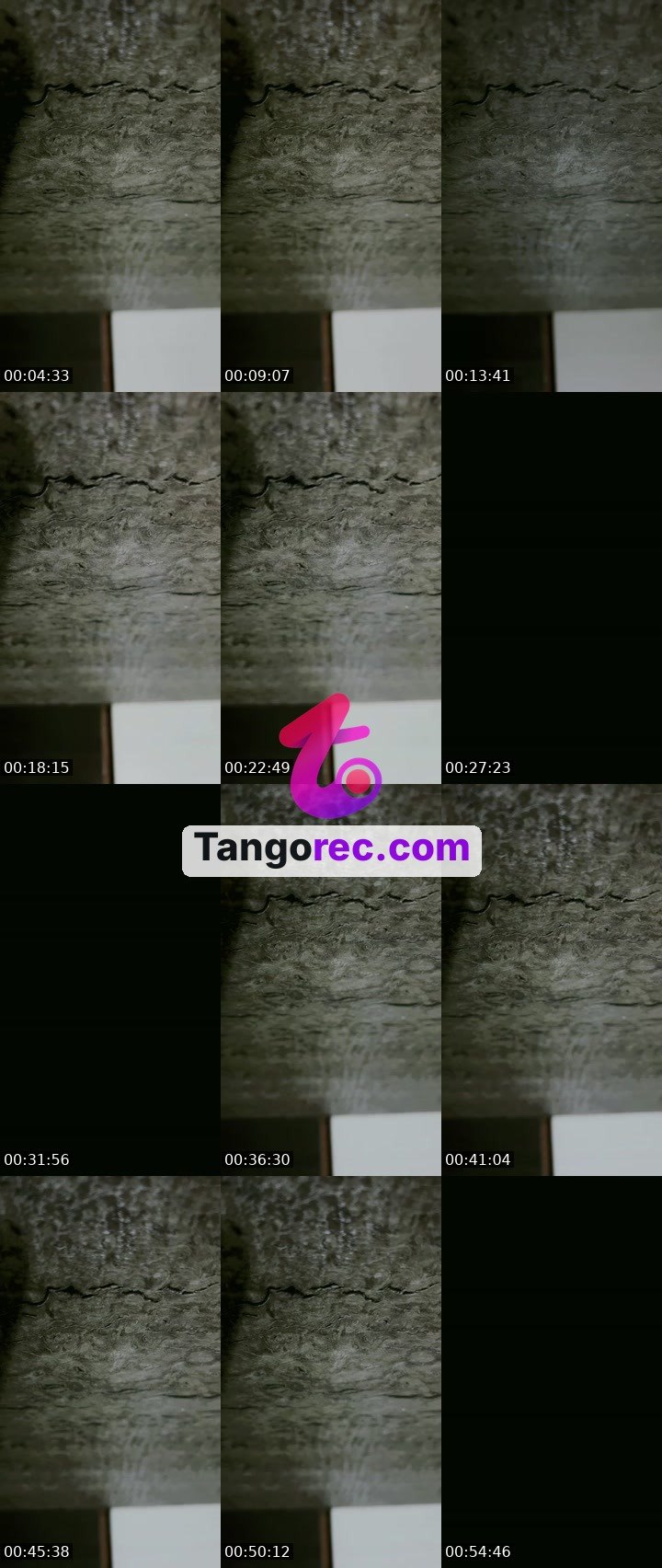 @nancyrajput1219 Tango live from 2026-09-03