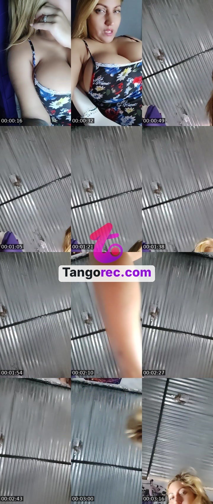 @roguez Tango live from 2026-09-03