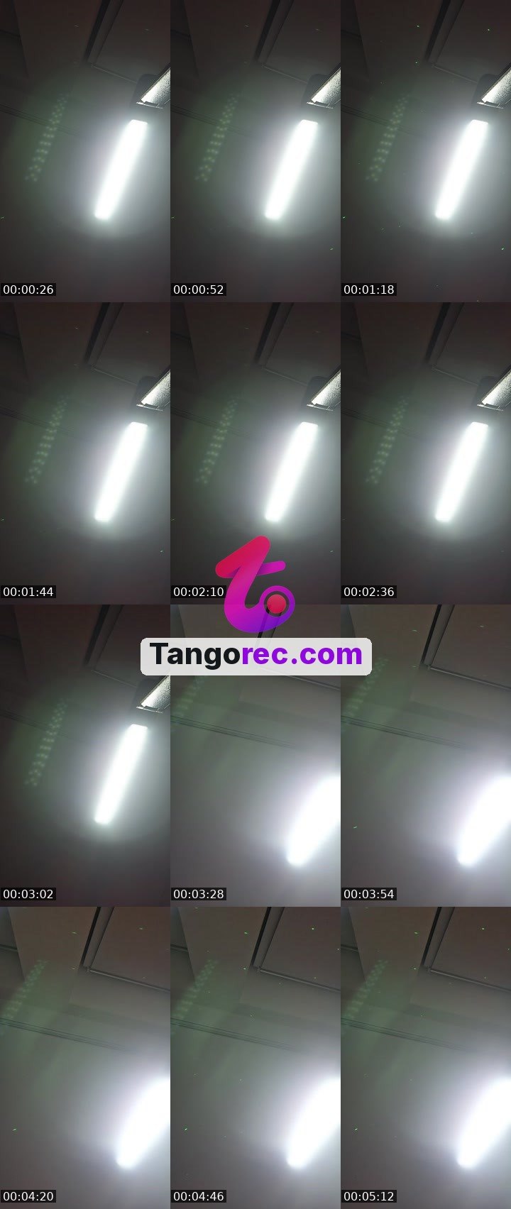 @lolasuper Tango live from 2026-09-03