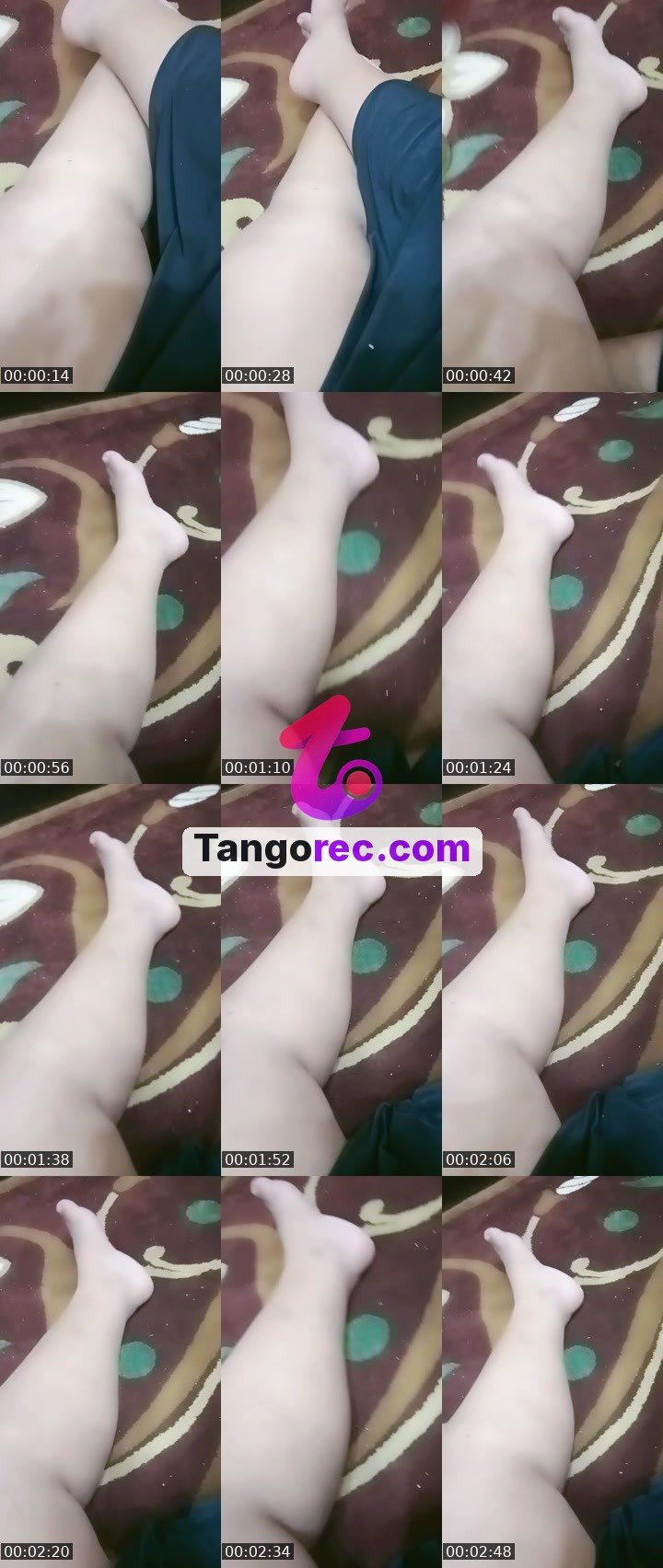 @chief-cheetah-97839 Tango live from 2026-09-03