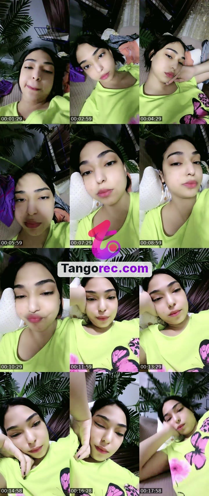 @fairozy4 Tango live from 2026-09-03