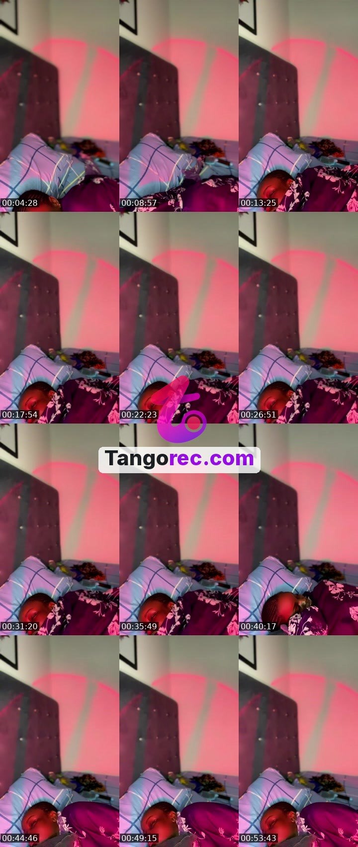 @debbyszn Tango live from 2026-09-03