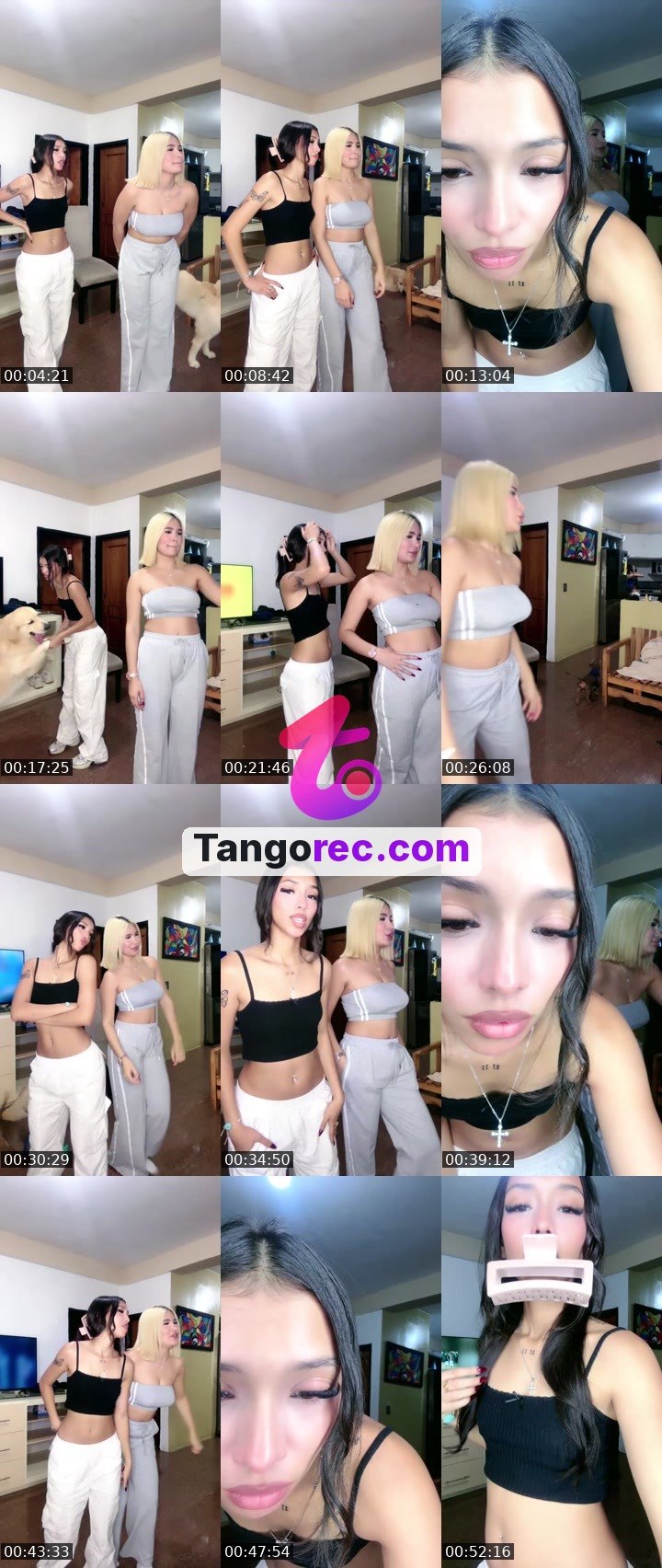 @evangeline123 Tango live from 2026-09-04