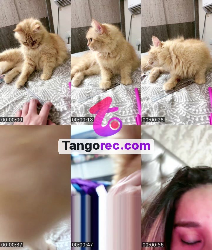 @nancyrajput1219 Tango live from 2026-09-04