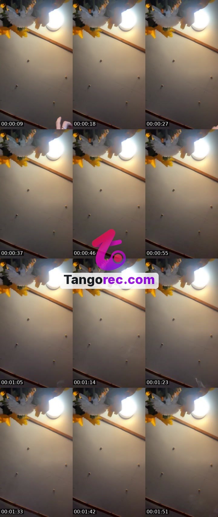 @blu_demon Tango live from 2026-09-04