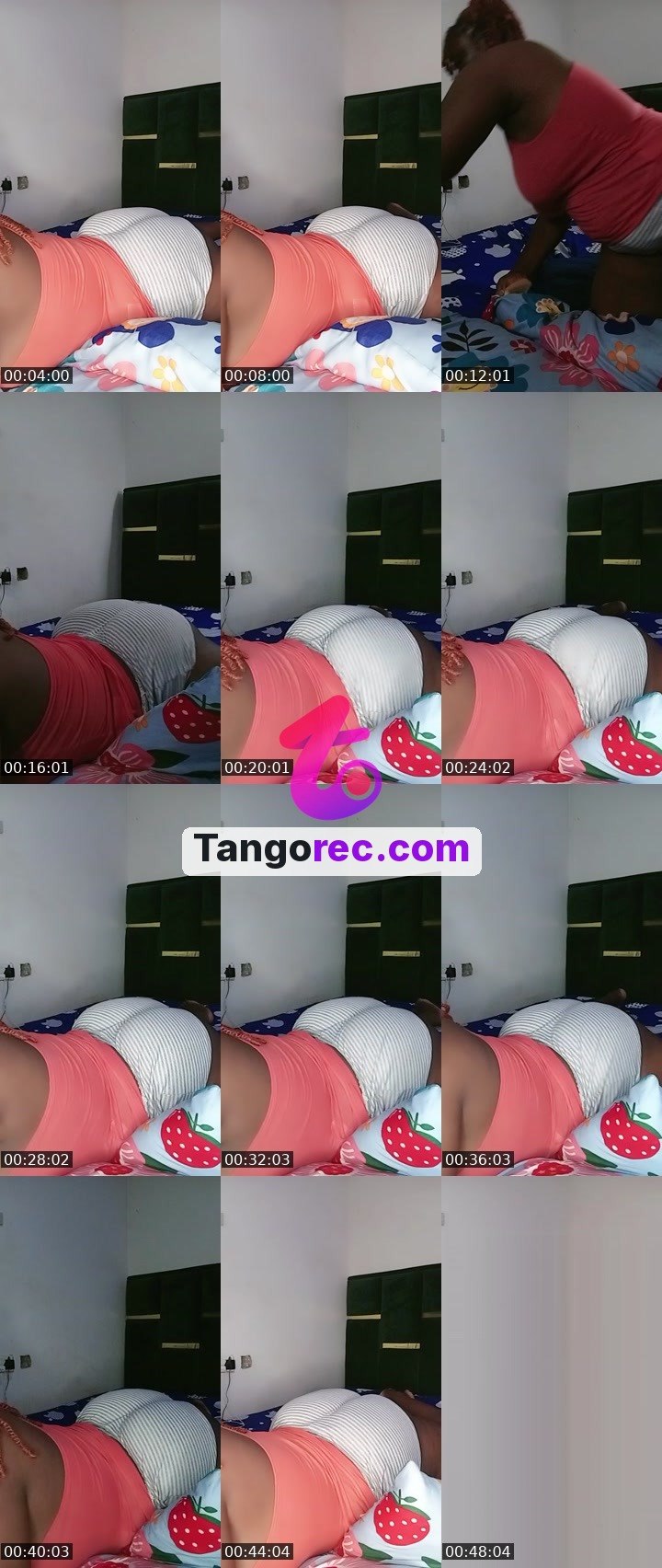 @hony884 Tango live from 2026-09-04