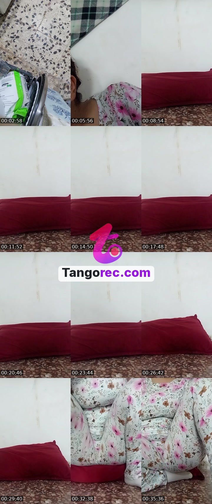 @chmookbadaea Tango live from 2026-09-04