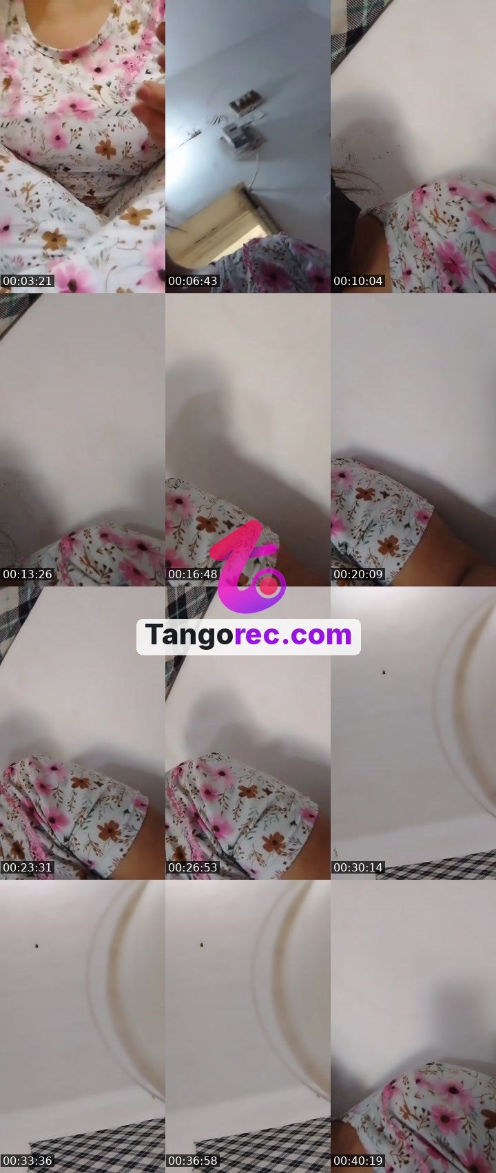 @chmookbadaea Tango live from 2026-09-04