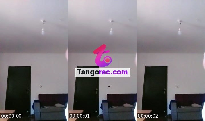 @zingollulu Tango live from 2026-09-04
