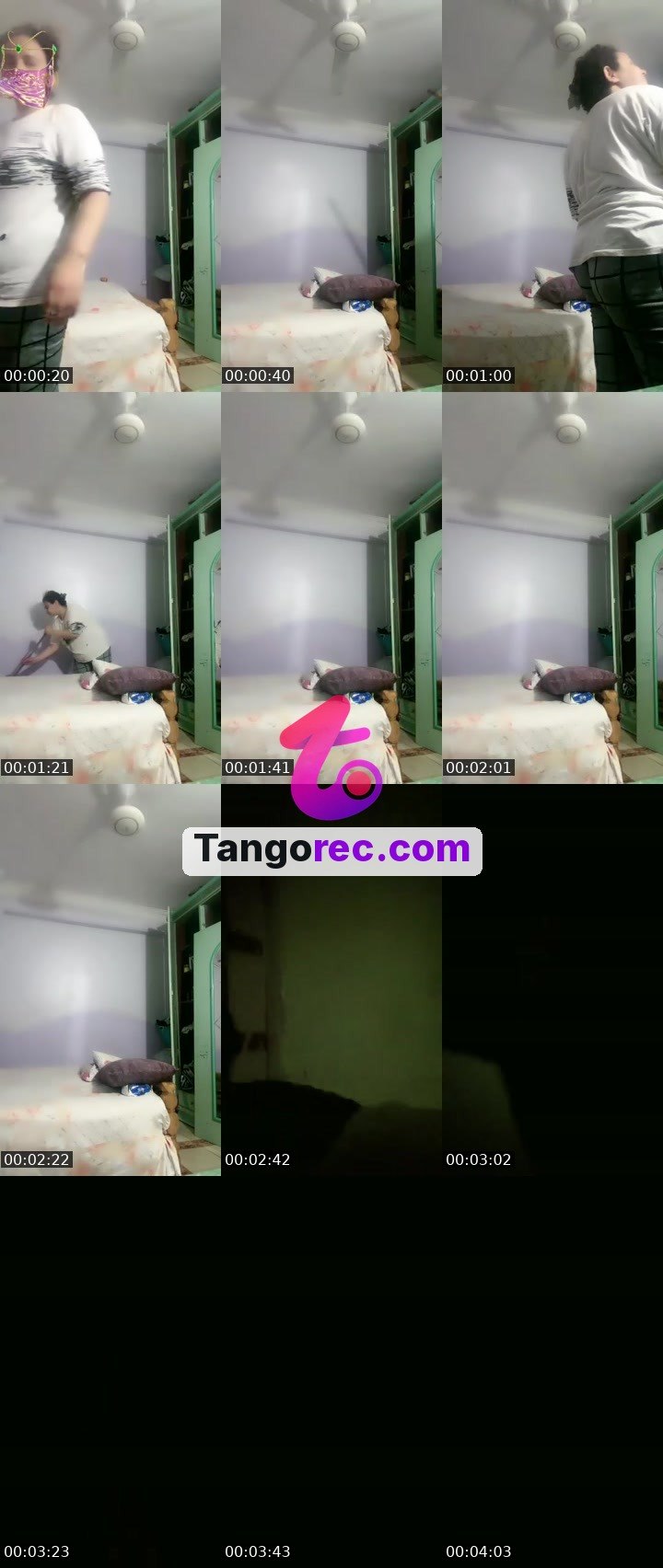 @rapidcat-100152 Tango live from 2026-09-04