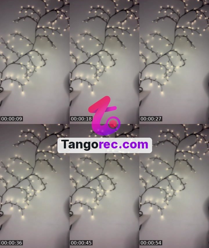 @kdracarys Tango live from 2026-09-04