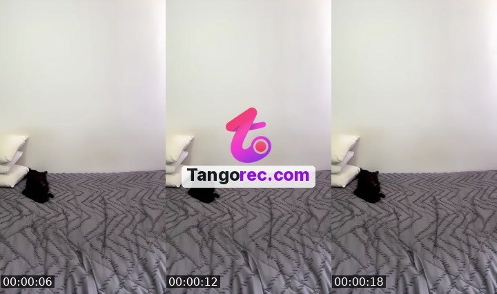 @yourdream44 Tango live from 2026-09-04