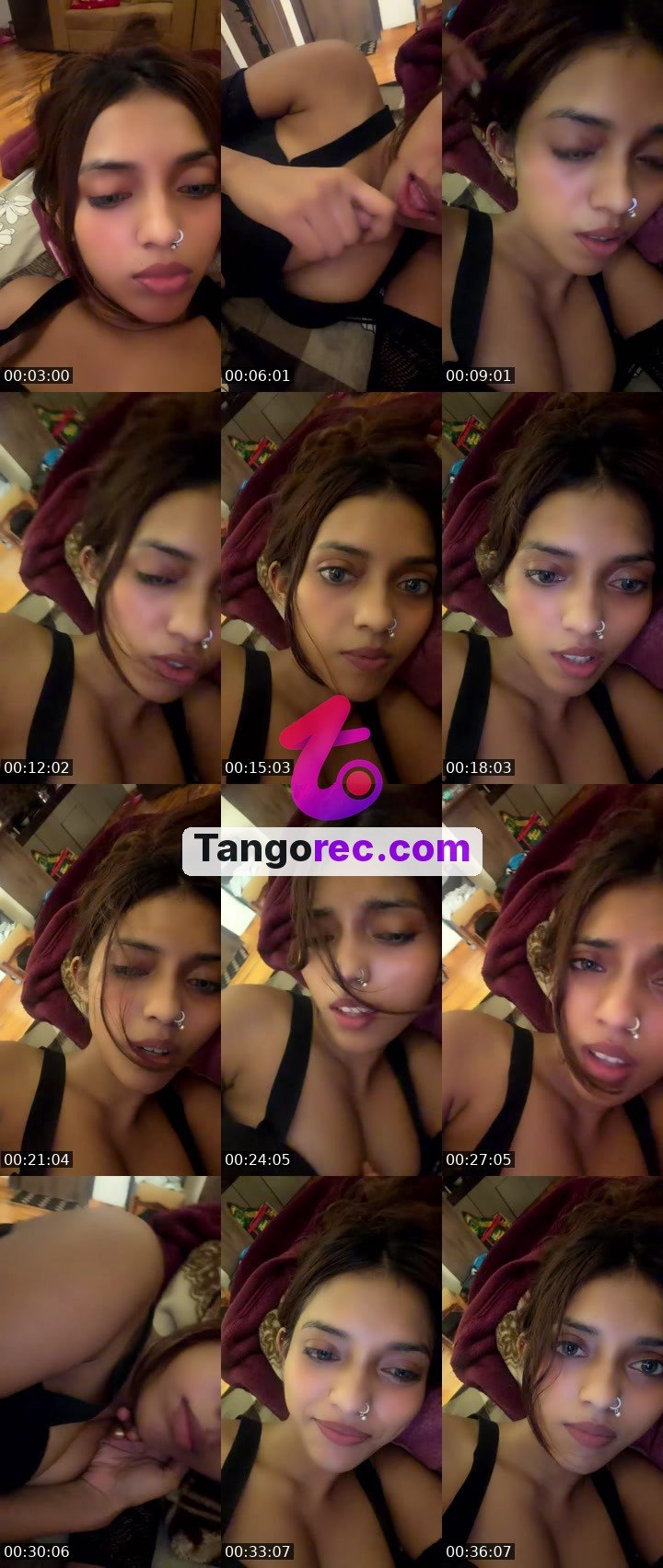@ironwoodgator-136375 Tango live from 2026-09-05