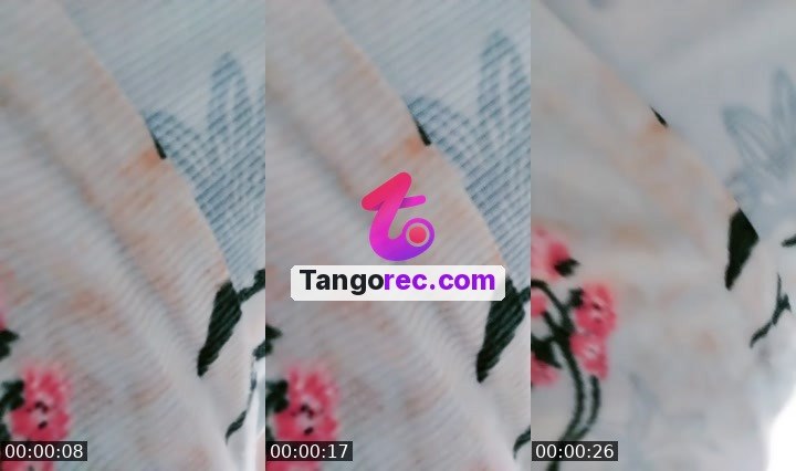 @zingollulu Tango live from 2026-09-05
