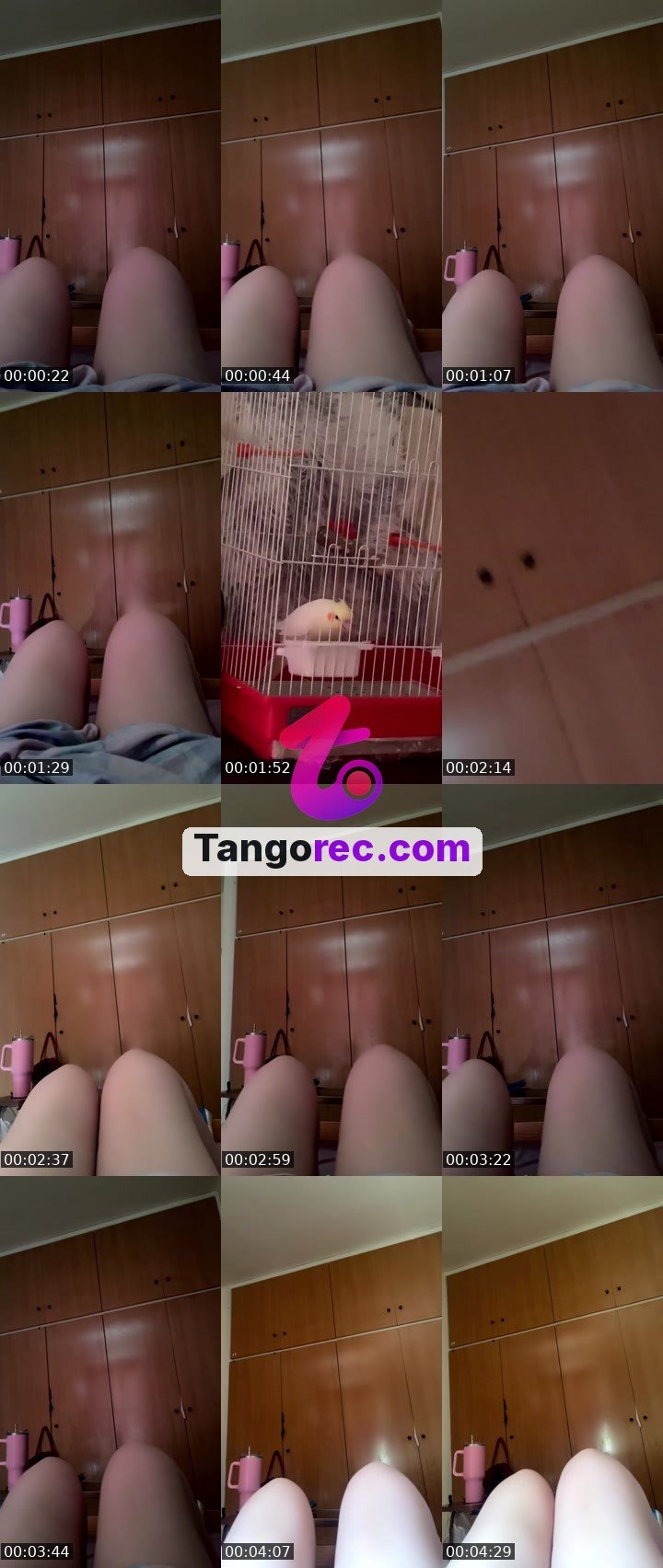 @pleasantgiraffe-122643 Tango live from 2026-09-05