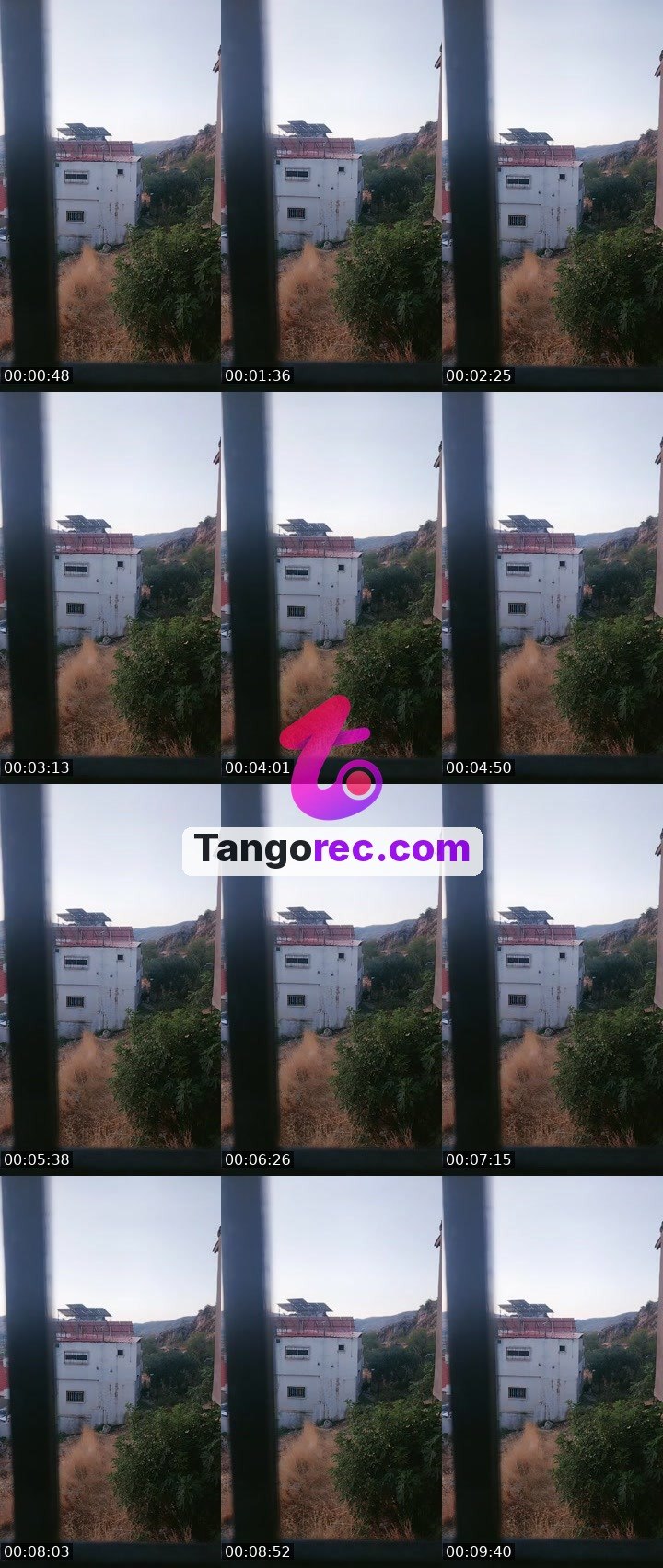 @zingollulu Tango live from 2026-09-05