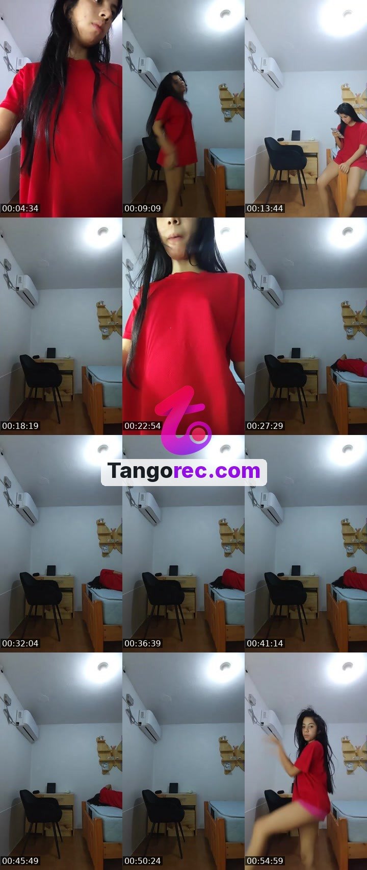 @dolphin6 Tango live from 2026-09-05