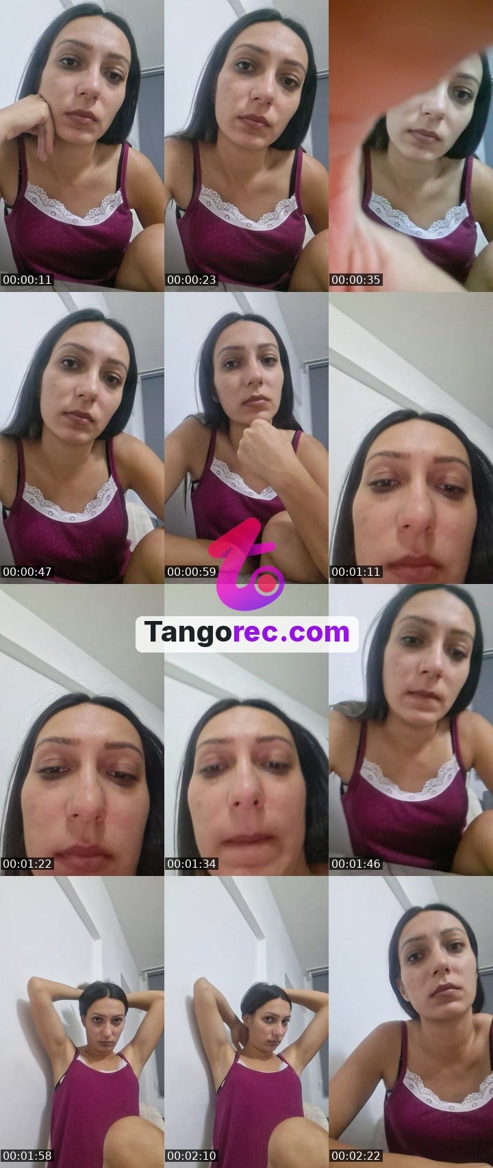 @boxingbear-248422 Tango live from 2026-09-05