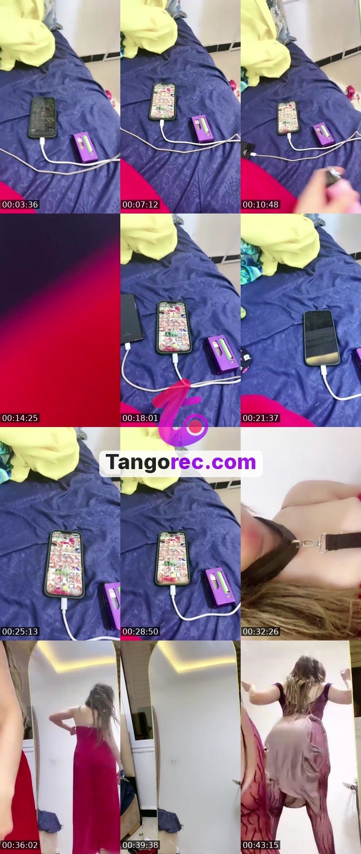 @tareya Tango live from 2026-09-05