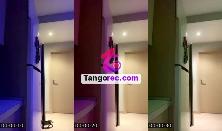 @evelina963hz Tango live from 2026-09-06