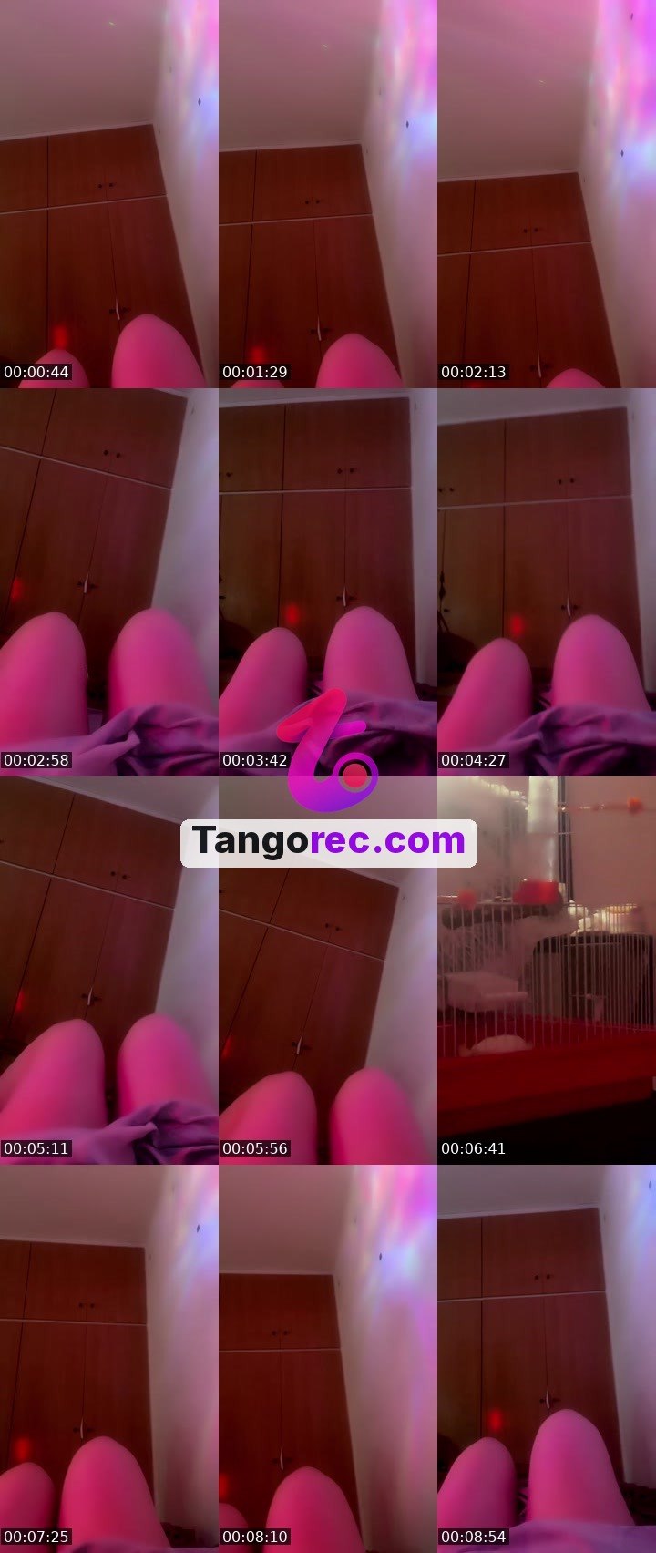 @pleasantgiraffe-122643 Tango live from 2026-09-06