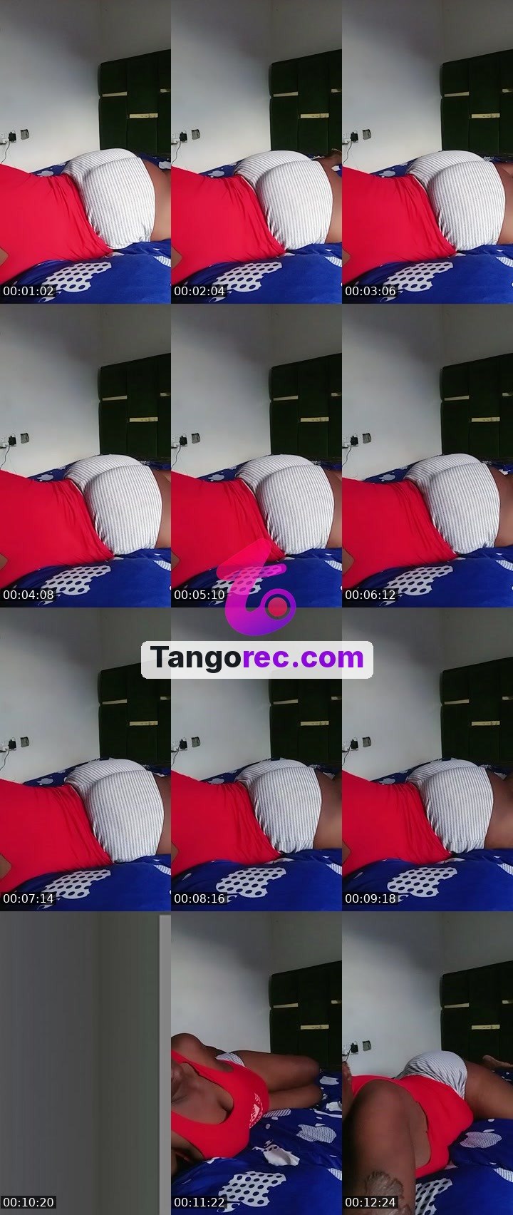 @hony884 Tango live from 2026-09-06
