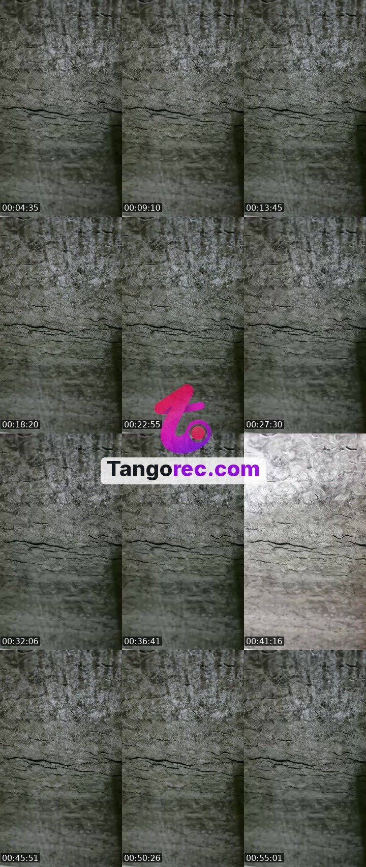 @nancyrajput1219 Tango live from 2026-09-06