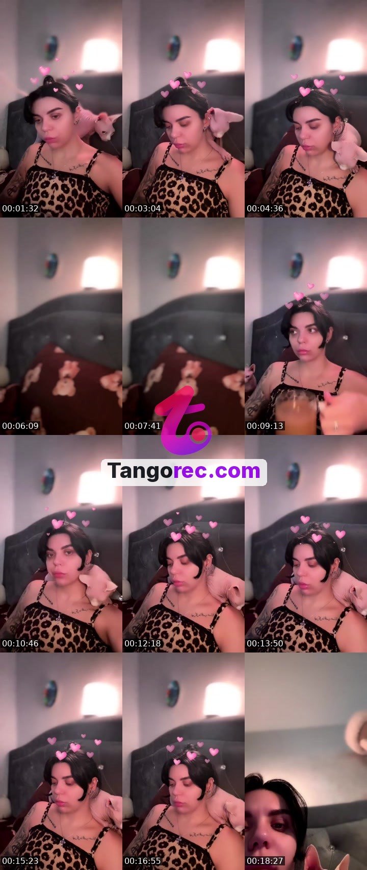@idgaf666 Tango live from 2026-09-06
