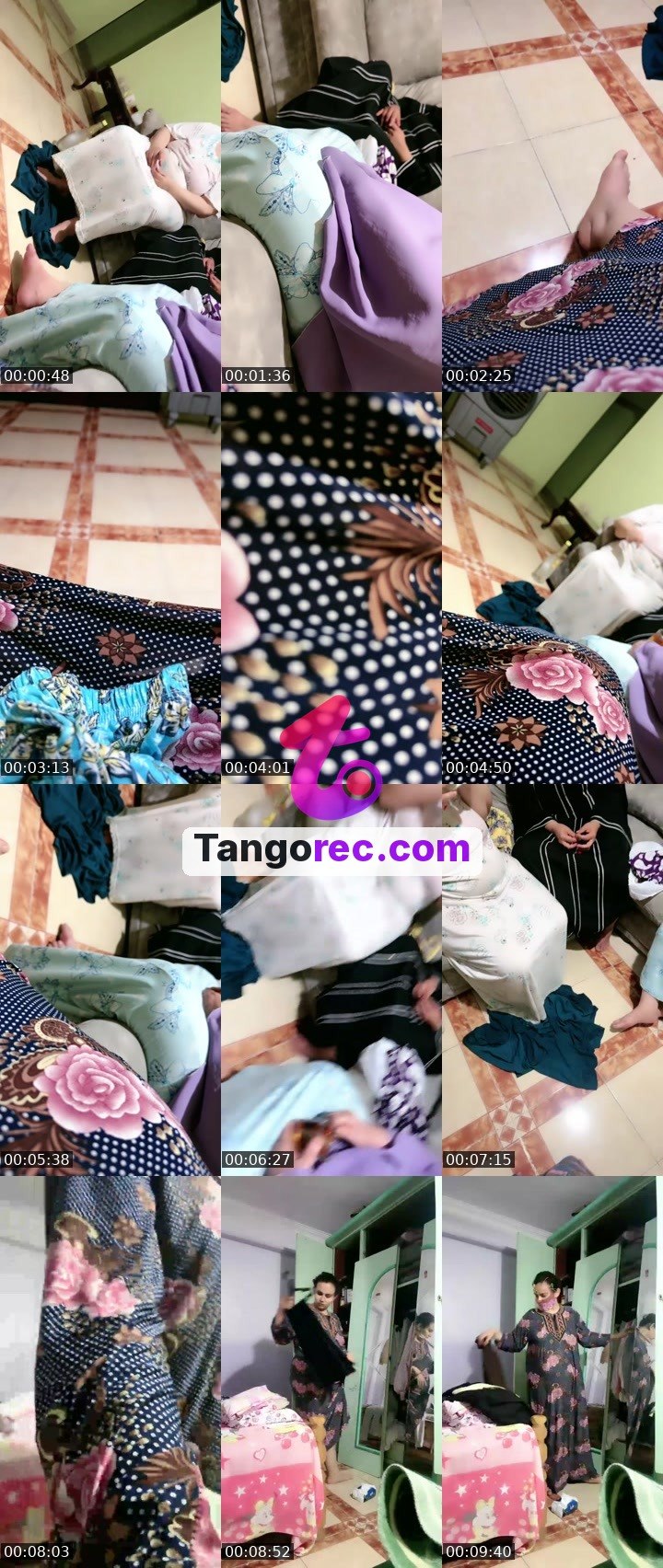 @rapidcat-100152 Tango live from 2026-09-06