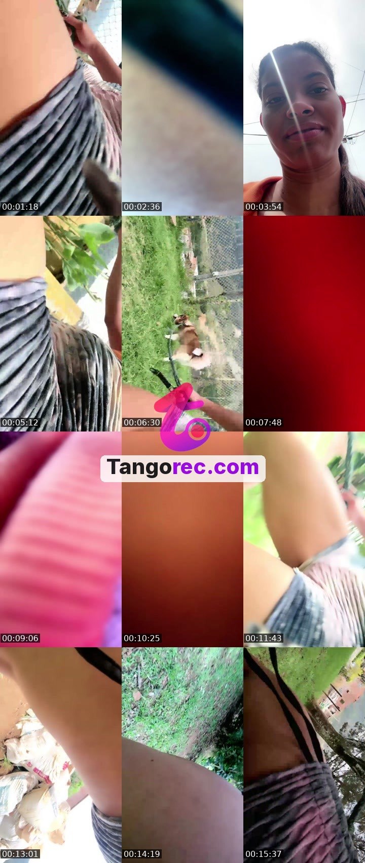 @vero04 Tango live from 2026-09-06