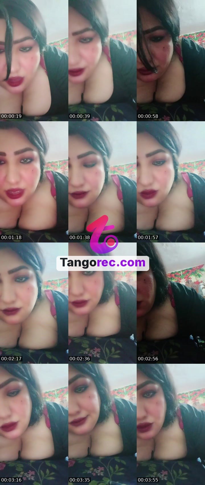 @countcougar-240907 Tango live from 2026-09-06