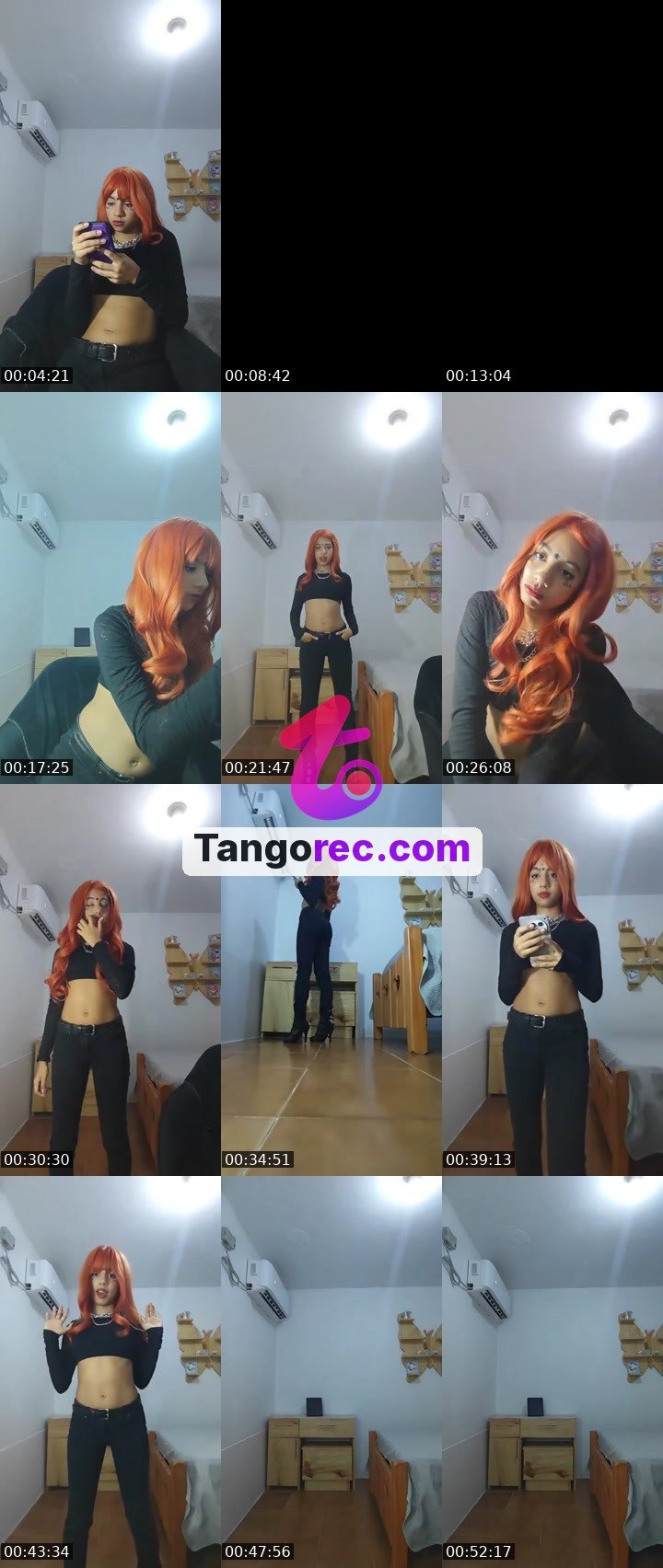 @dolphin6 Tango live from 2026-09-06