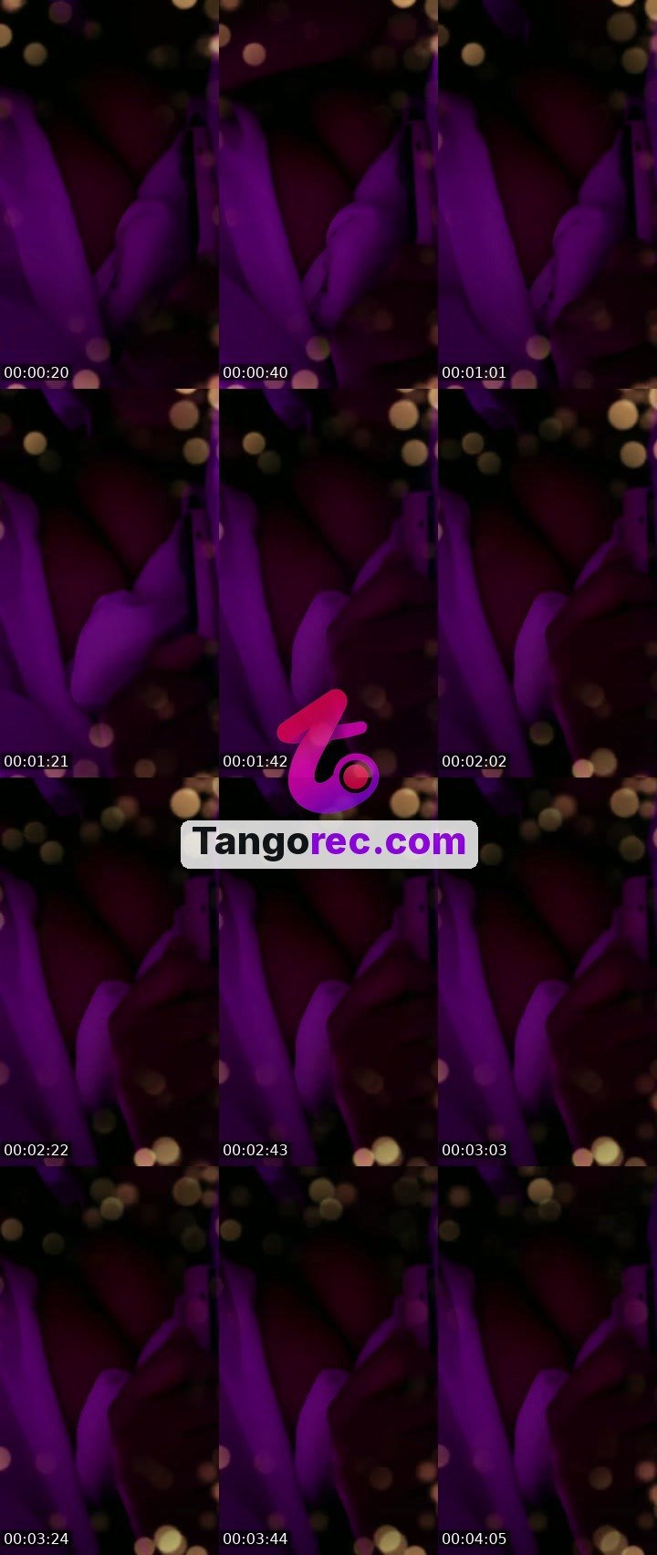 @ironbull-305617 Tango live from 2026-09-06