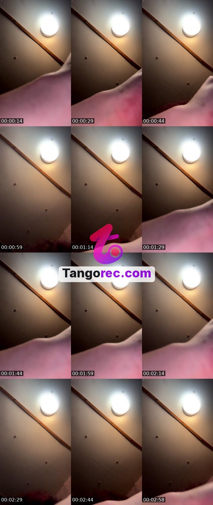 @blu_demon Tango live from 2026-09-07