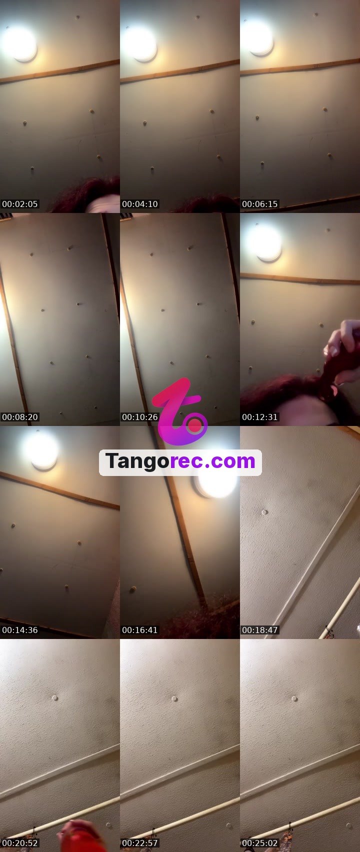 @blu_demon Tango live from 2026-09-07