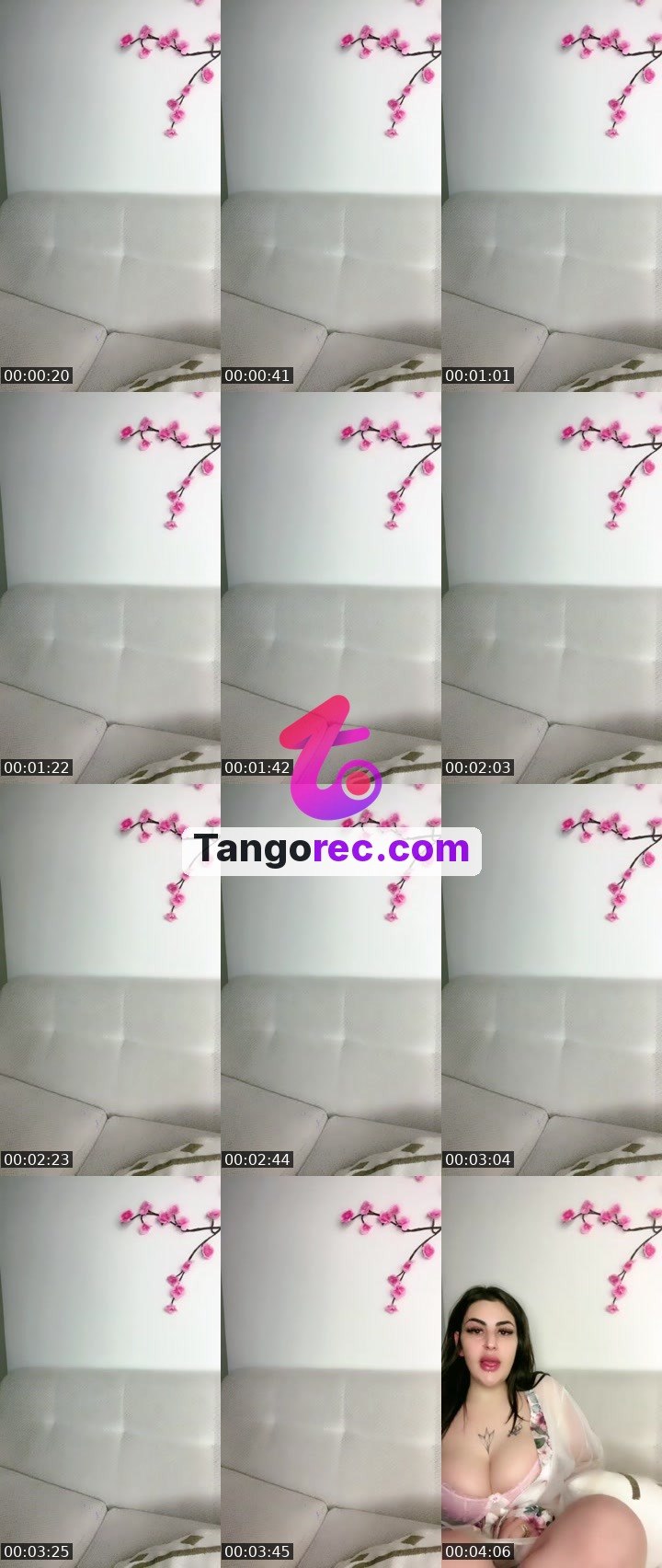 @shahd Tango live from 2026-09-07