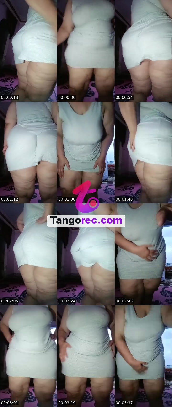 @glorious-cat-91067 Tango live from 2026-09-07