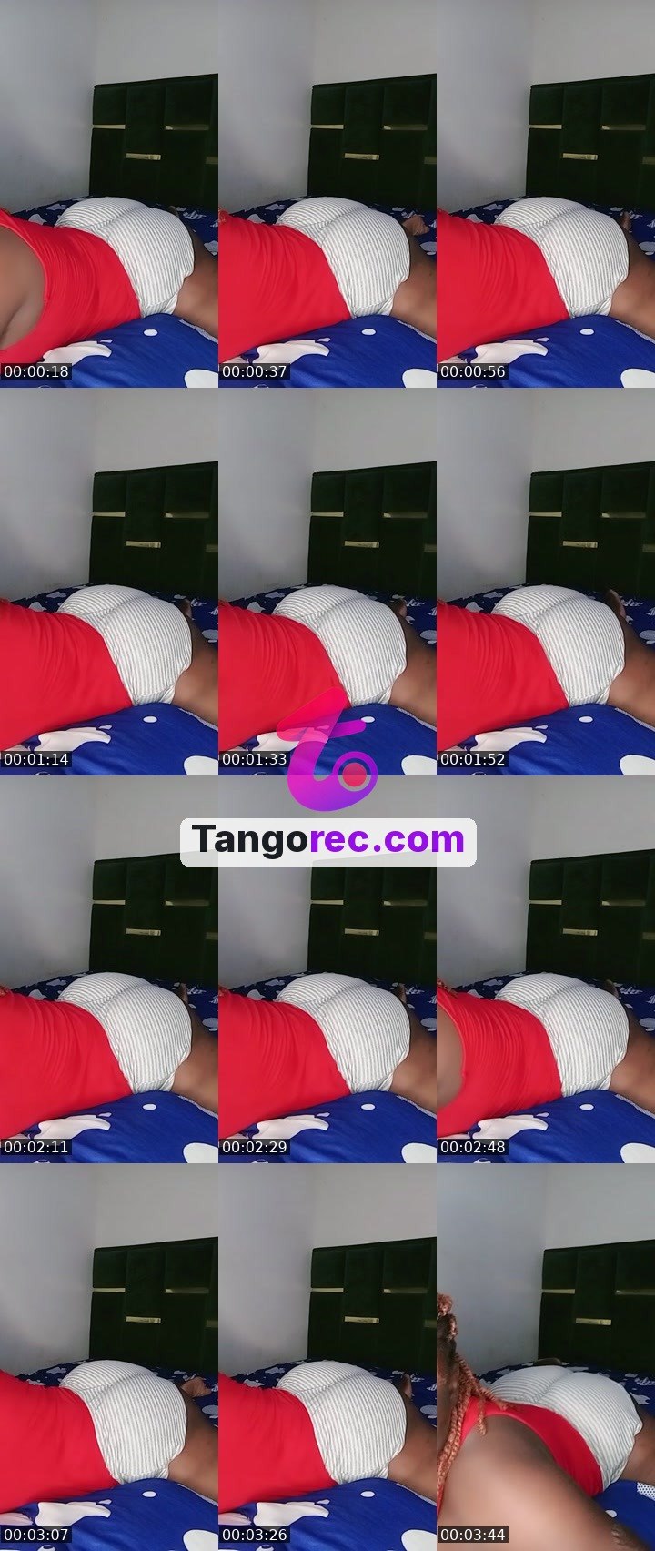 @hony884 Tango live from 2026-09-07