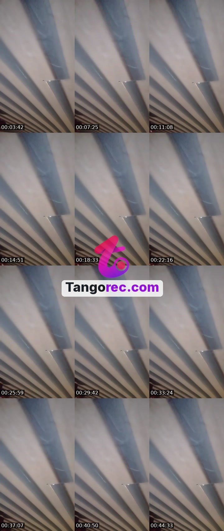 @glorioussquirrel-109584 Tango live from 2026-09-07